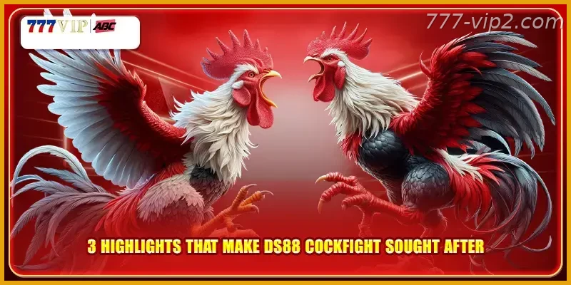 3 highlights that make DS88 cockfight Guide sought after