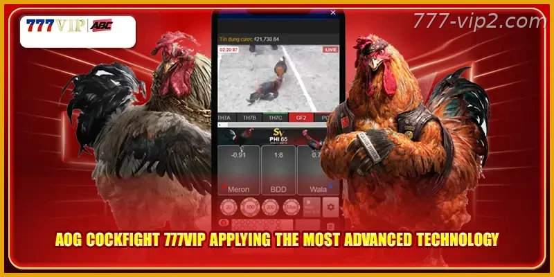 AOG Cockfight Guide 777VIP PH applying the most advanced technology