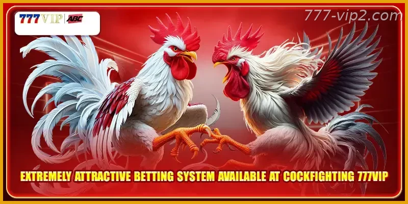 Extremely attractive betting system available at Sabong Betting 777VIP PH