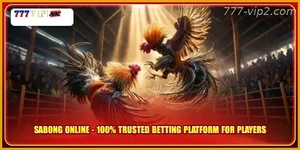 Sabong Online 100% Trusted Betting Platform for Players