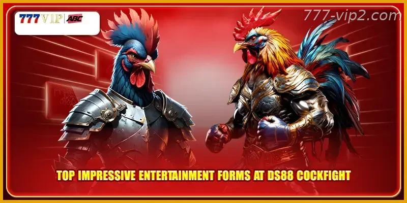 Top impressive entertainment forms at DS88 cockfight Guide