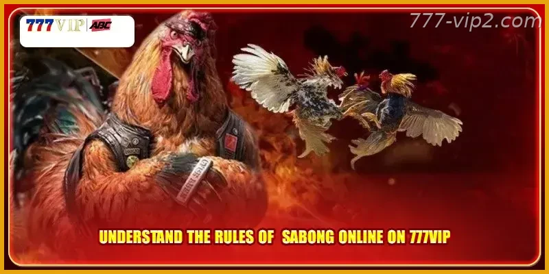 Understand the rules of sabong online Guide on 777VIP PH